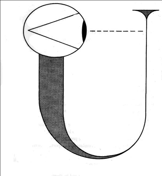 ‘It from bit’ – Surtil