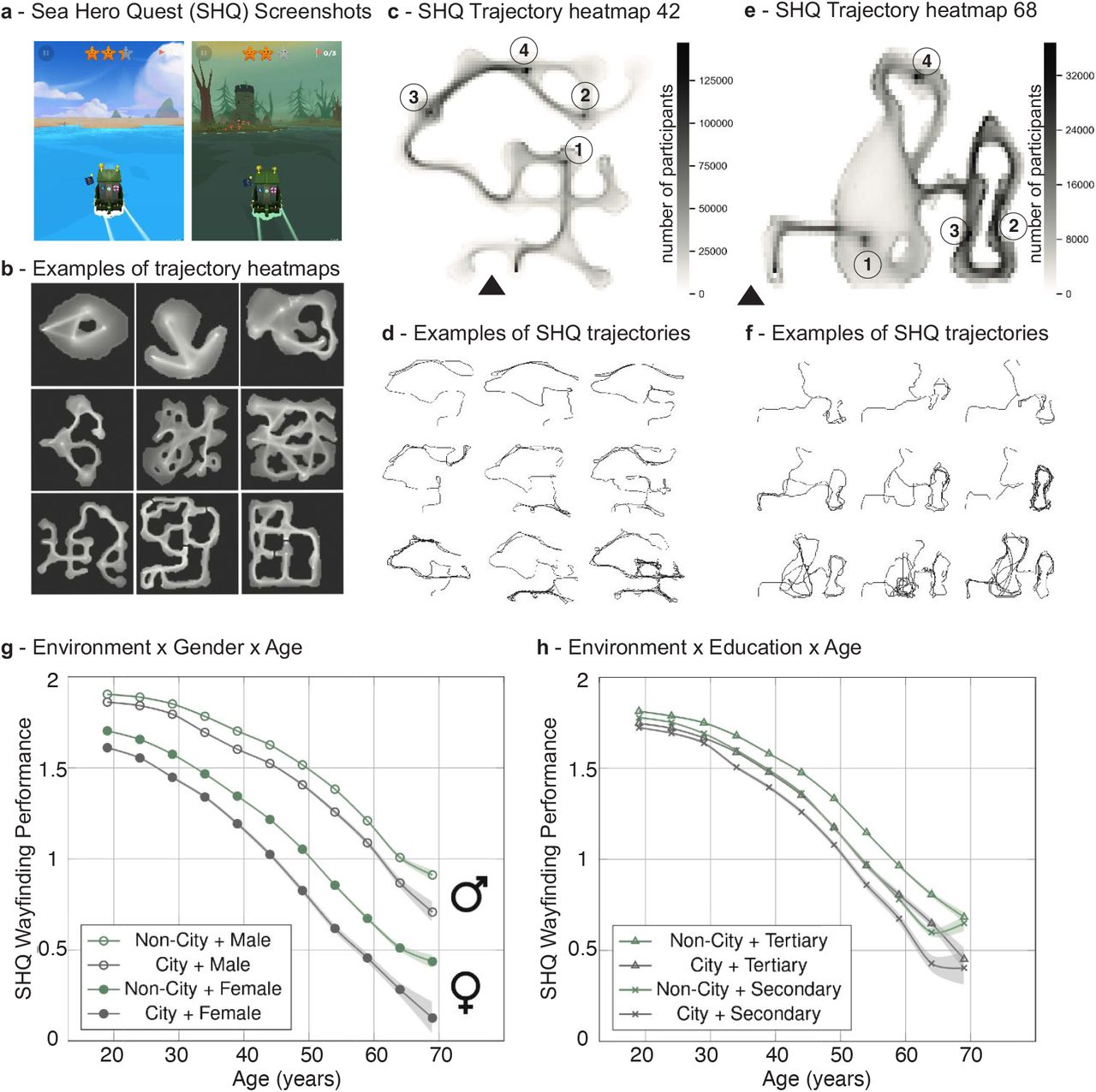 Your spatial navigation ability links with the entropy of your city ...