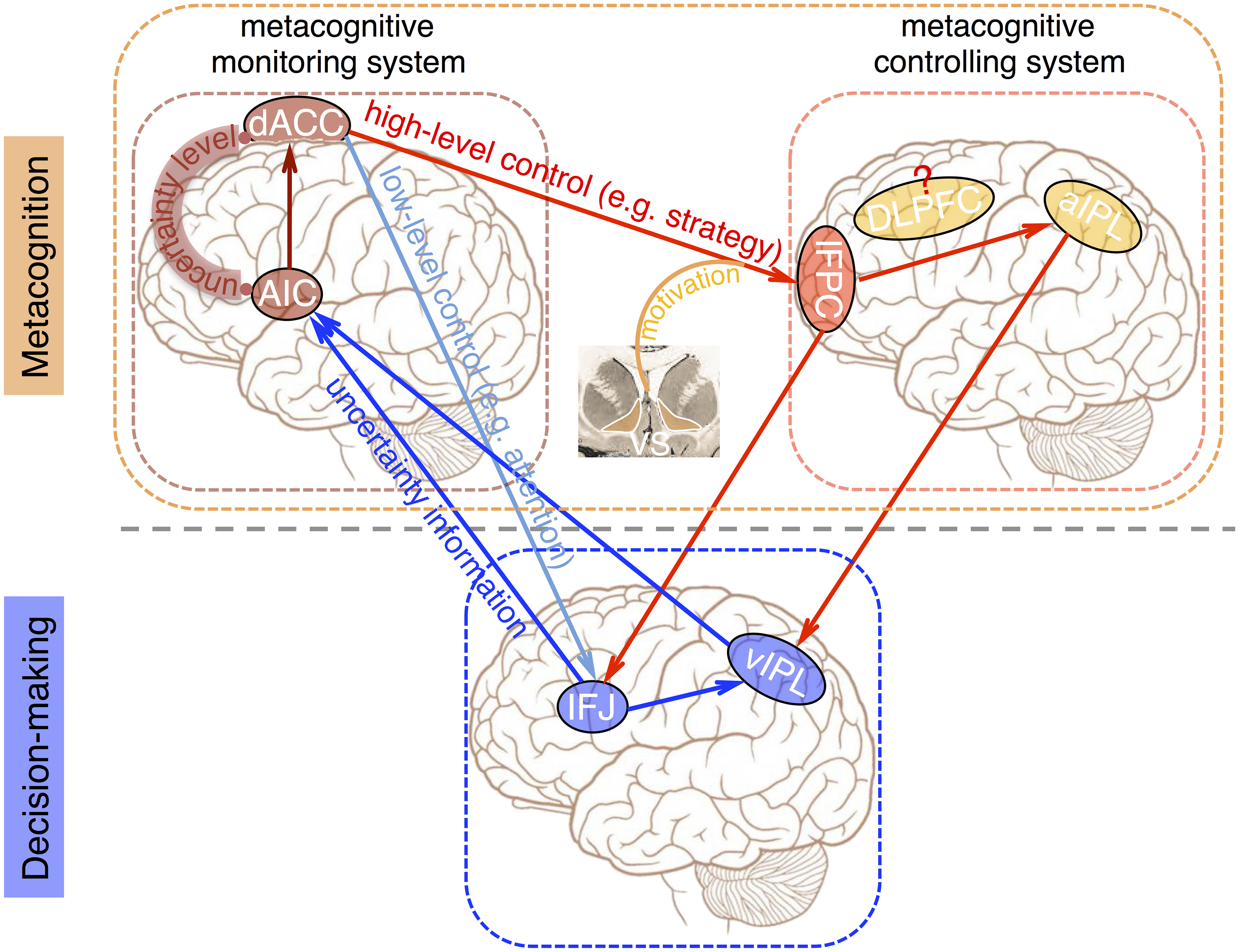 Metacognition accompanying decision-making – Surtil