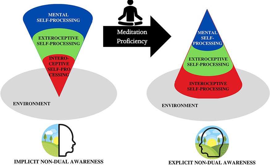 “decrease the mental-self-processing & a synchronization with the ...
