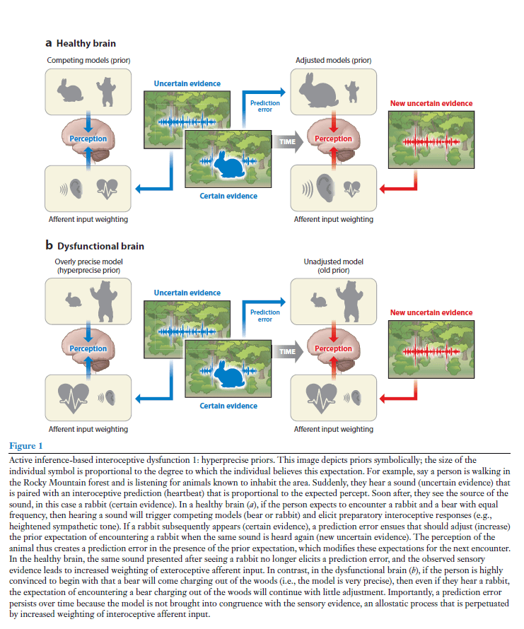 Interoception and Active Inference for mental health – Surtil