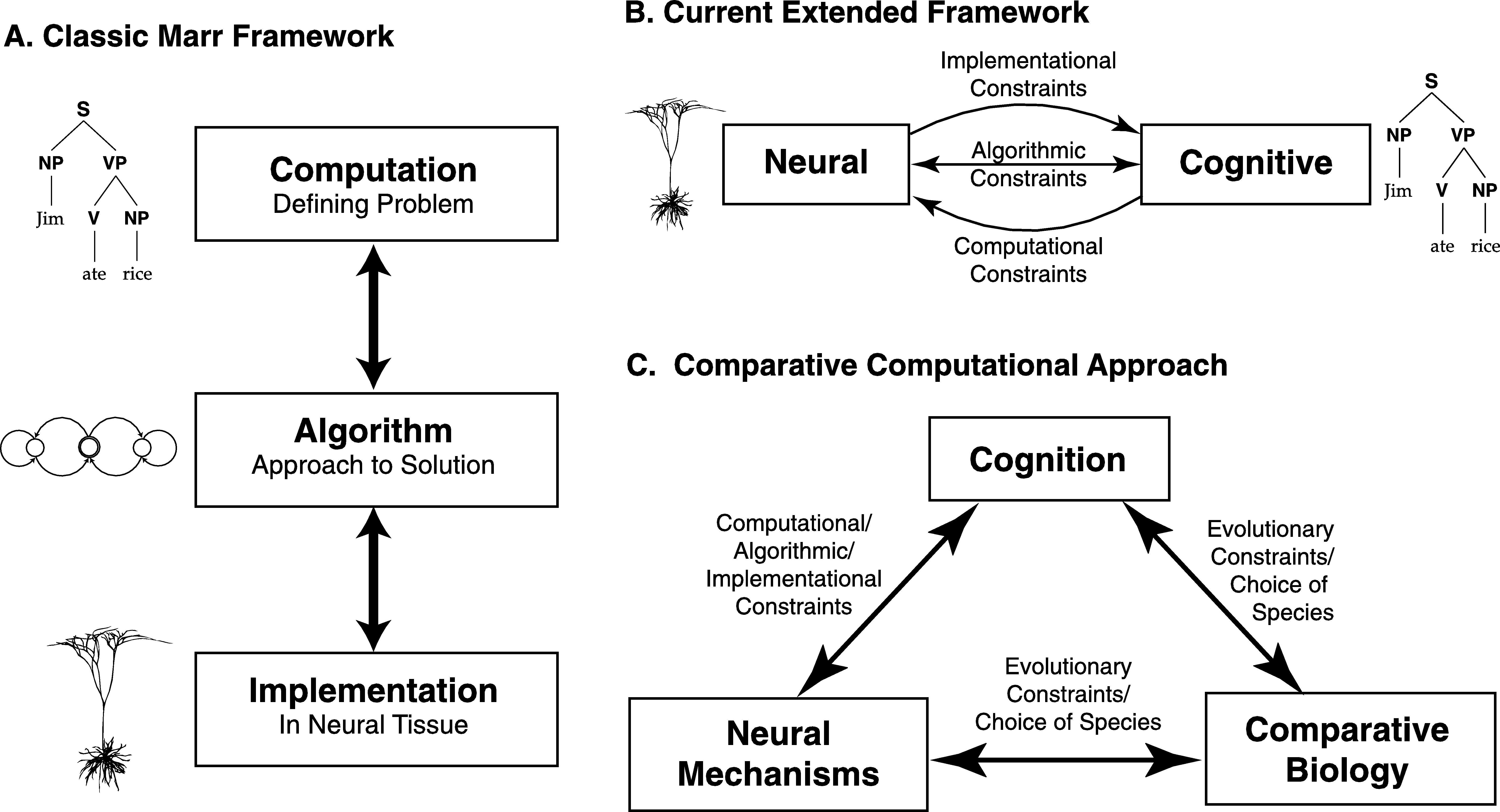 Computational Framework for cognitive biology – Surtil